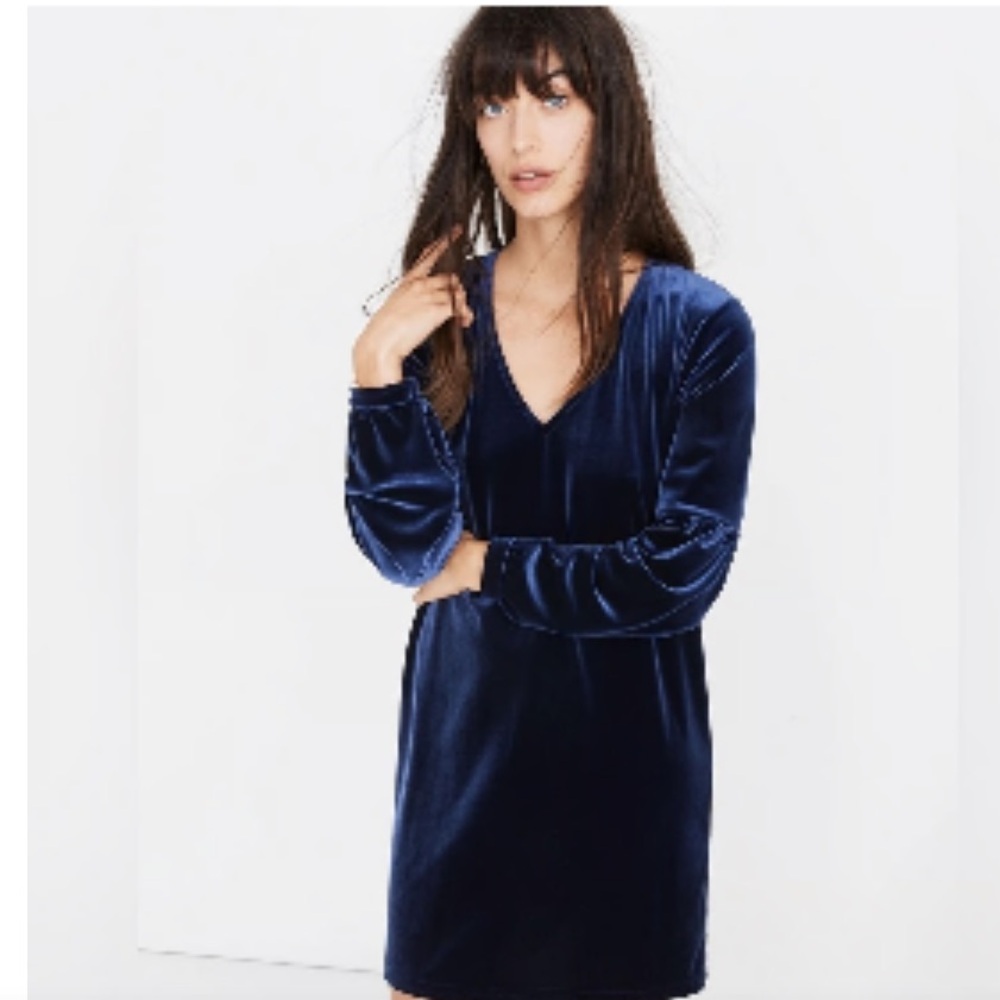 Madewell Blue Velour Dress